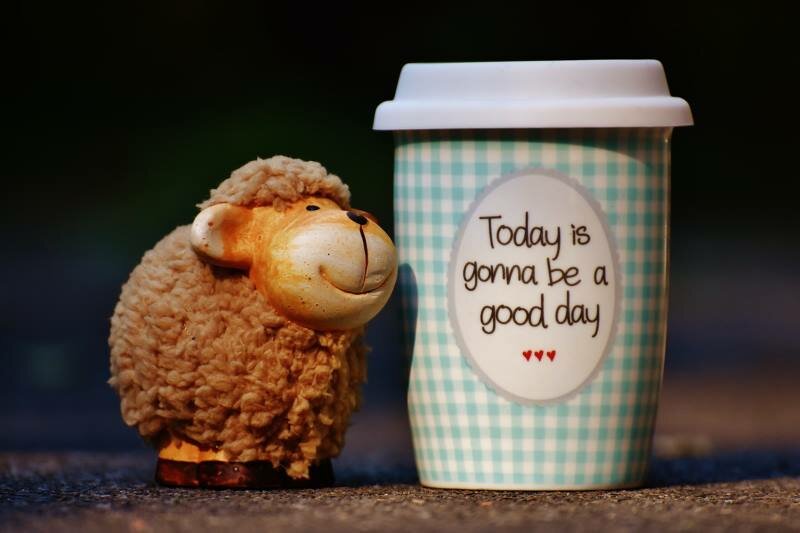 Happy Animal Good Day Coffee